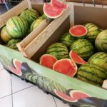 campaña sandia y melon greenbox