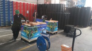 producción hortofrutícola