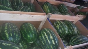 Sandías y melones