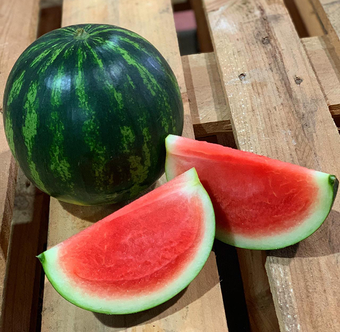 campaña melón y sandía