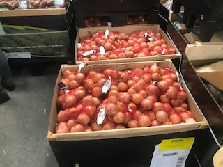 Cebollas