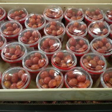 Tomates Cherry
