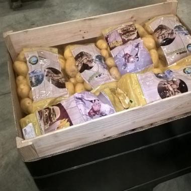 Patatas