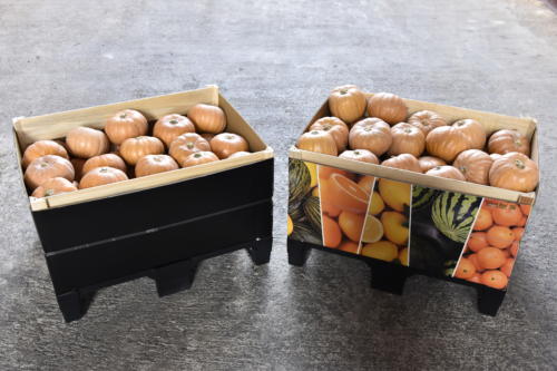 Calabazas